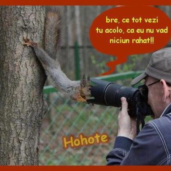 LIKE THIS FLYER to receive SHARE SHOW Notifications! Next Show: November 2025 - Picture 10 of 12